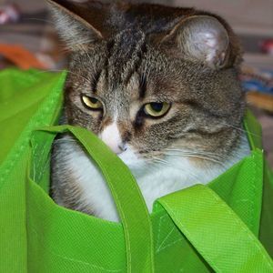 Meet your Posher, Vicki